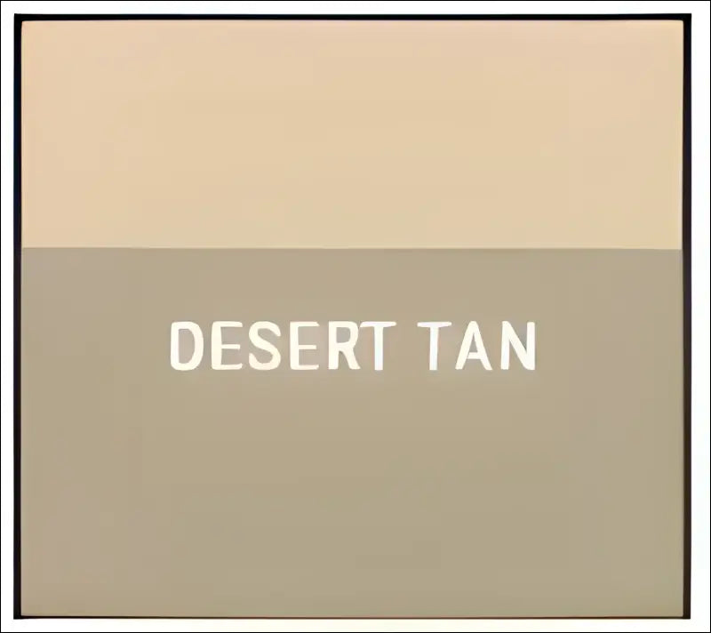 PATV Powersports Can-Am Outlander/Renegade Gen 2 Stretched Trailing Arms (12-18) - DESERT TAN