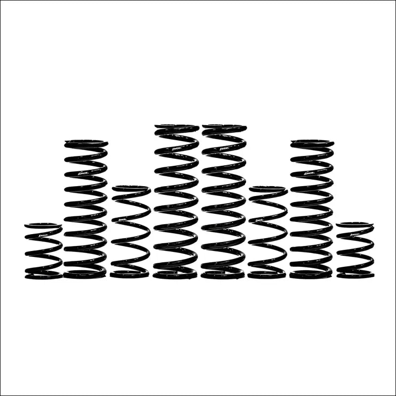 Zbroz Can-Am Maverick X3 Base Model 2.5’’ Stage 1 Spring Kit - spring