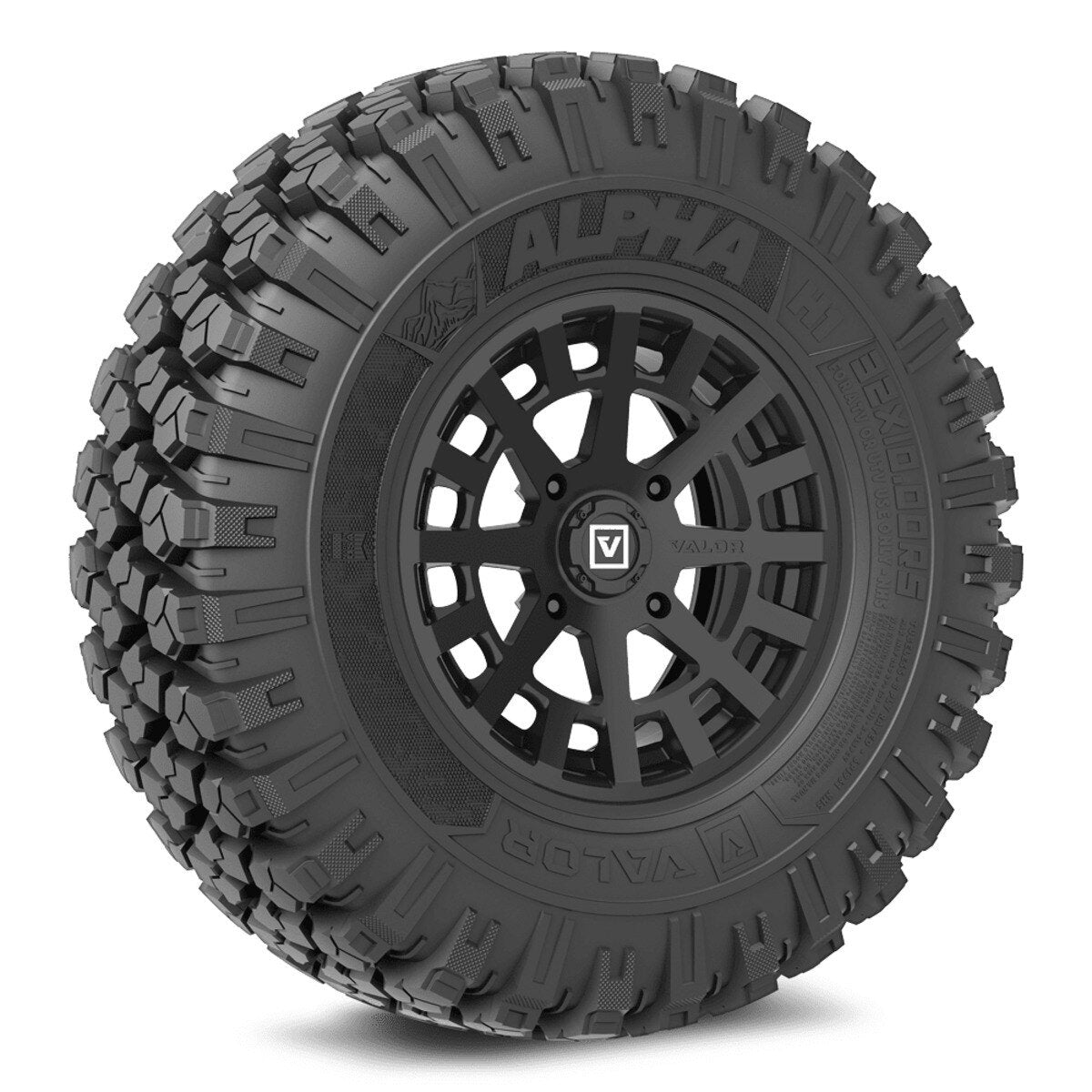 Valor Off-Road Alpha on V04 Wheel and Tire Kits