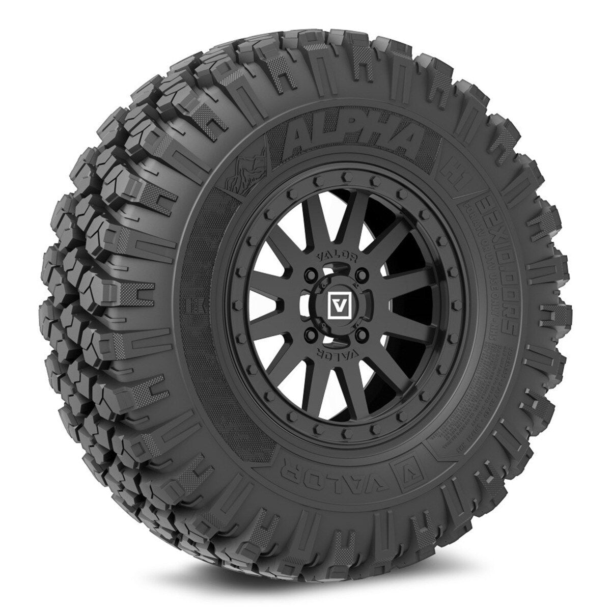 Valor Off-Road Alpha on V05 Wheel and Tire Kits