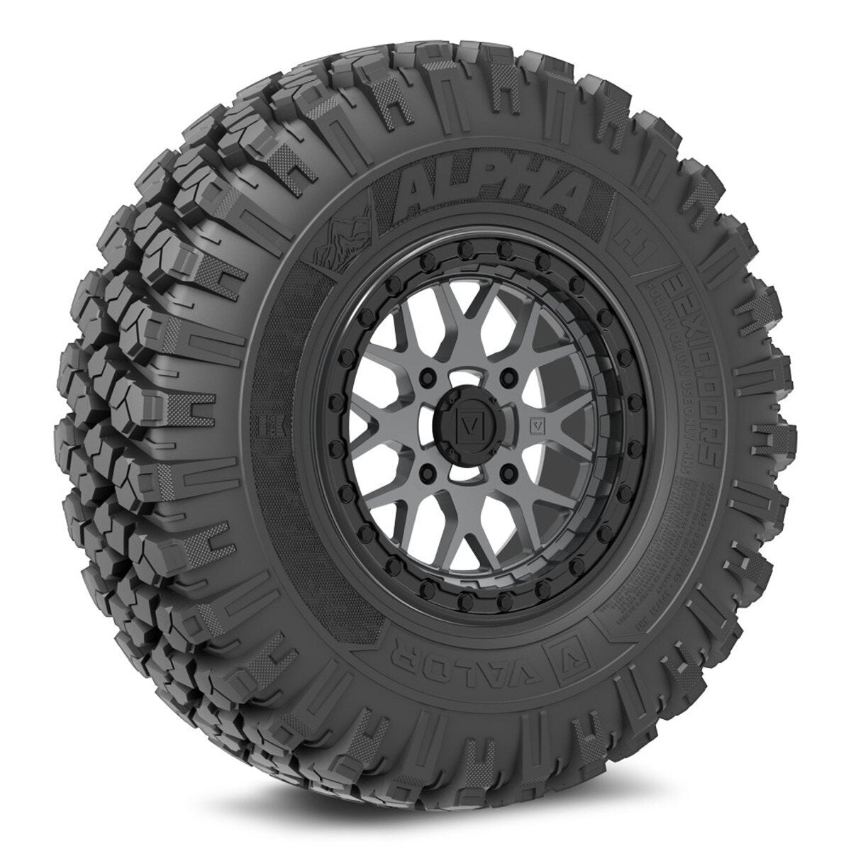 Valor Off-Road Alpha on V07 SG Wheel and Tire Kits