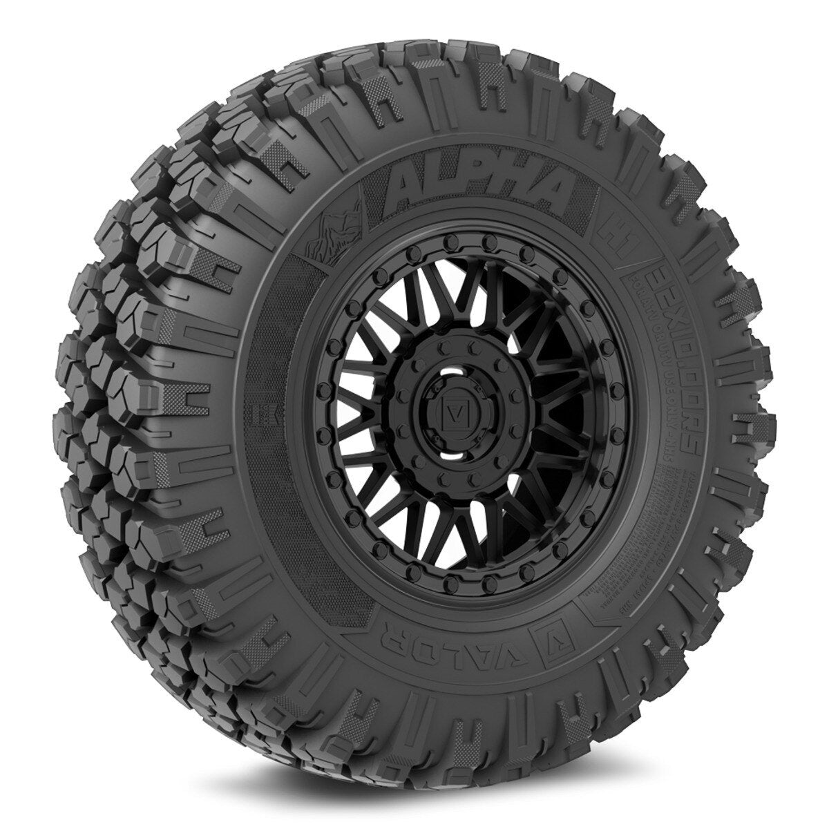 Valor Off-Road Alpha on V08 SB Wheel and Tire Kits