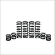 Zbroz Polaris General XP 1000 4 Stage 1 W.E. Shock Spring Kit - spring