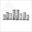 Zbroz Polaris RZR Pro R4 Walker Evans Stage 1 Spring Kit - spring
