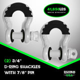 3/4" D-Ring Shackle Set (2-Pack)